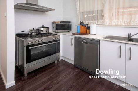 Property photo of 53 Lawes Street East Maitland NSW 2323