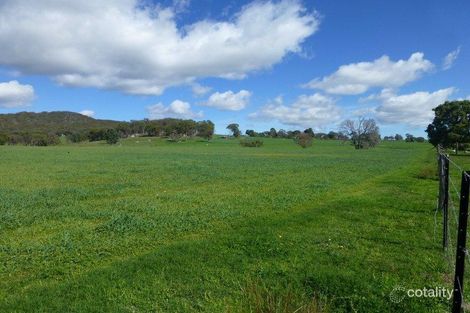 2113 Watsons Creek Rd, Watsons Creek, NSW 2355