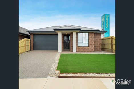 Property photo of 53 Restful Way Rockbank VIC 3335