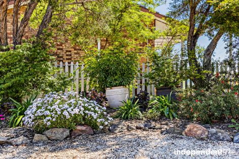 Property photo of 19 Robertson Street Queanbeyan West NSW 2620