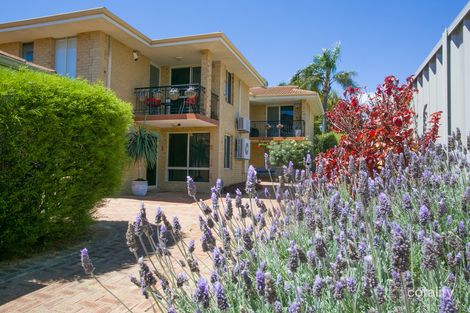 Property photo of 3/134 Tyler Street Tuart Hill WA 6060