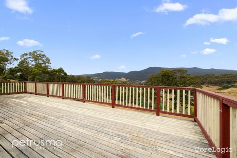 Property photo of 170 Lower Swamp Road Lachlan TAS 7140