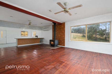 Property photo of 170 Lower Swamp Road Lachlan TAS 7140