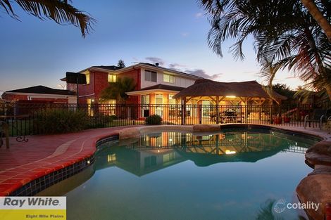 Property photo of 56 Honeysuckle Way Calamvale QLD 4116