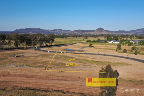 4 Mervyns Lane, Spring Flat, NSW 2850