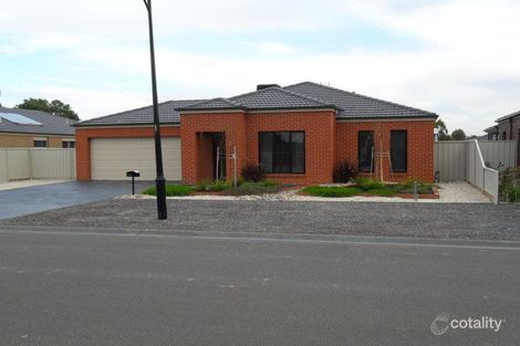 45 Cooba Dr, Epsom, VIC 3551