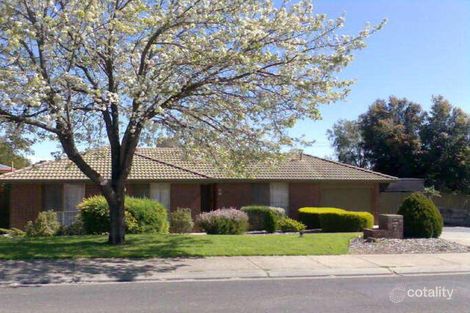 7 Palmyra St, Modbury Heights, SA 5092