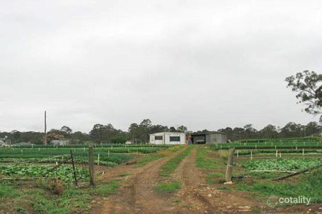 14 Oak St, Tallawong, NSW 2762