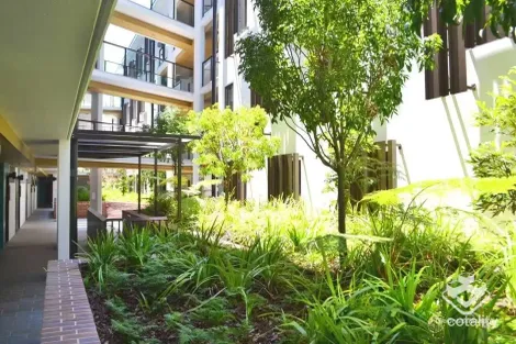 Property photo of 31 Peter Doherty Street Dutton Park QLD 4102