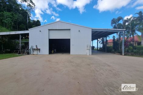 Property photo of 1189 Yakapari-Seaforth Road Mount Jukes QLD 4740