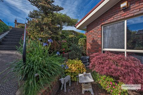 Property photo of 1/48 Grandview Avenue Park Grove TAS 7320