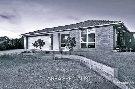 Property photo of 15 Grasswren Close Langwarrin VIC 3910