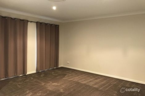 Property photo of 24 Singleton Place Carseldine QLD 4034