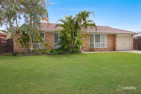 Property photo of 14 Cassia Crescent Banora Point NSW 2486