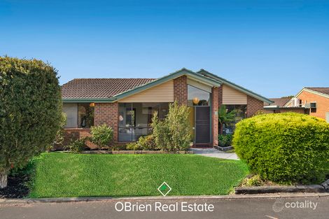 1 Lynda Cl, Cheltenham, VIC 3192