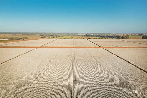 351 Whitton Darlington Point Rd, Whitton, NSW 2705