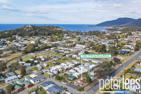 Property photo of 4 Champ Street Bicheno TAS 7215