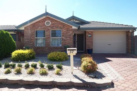 37 Lynton Ave, Gilles Plains, SA 5086