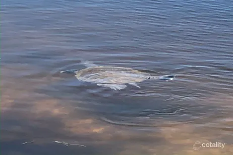 Property photo of 25/360-368 Oxley Drive Coombabah QLD 4216