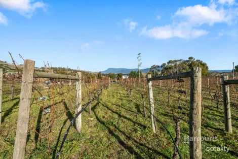 Property photo of 173 Tea Tree Road Brighton TAS 7030