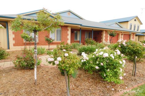 Property photo of 19 Haynes Street Bordertown SA 5268