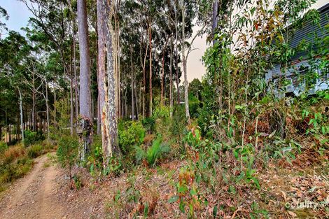 Property photo of 53 Litchfield Crescent Long Beach NSW 2536
