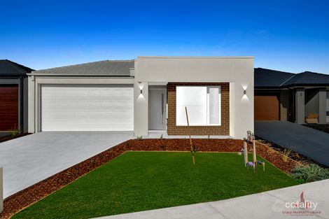 Property photo of 19 Toadlet Street Wyndham Vale VIC 3024