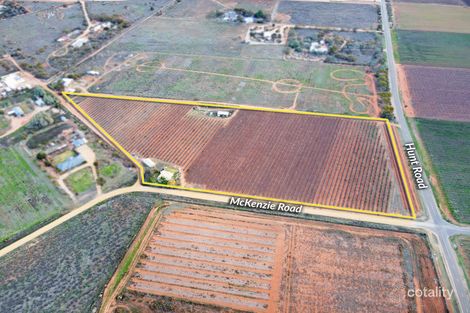 296 Mckenzie Rd, Loveday, SA 5345