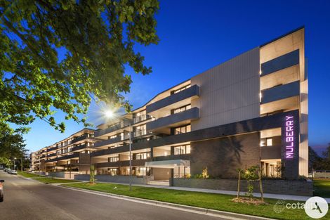 Property photo of 203/55 Dooring Street Dickson ACT 2602