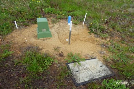 Property photo of 39 Rayner Loop Nunile WA 6566