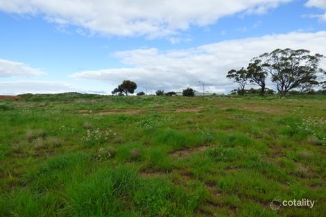 Property photo of 39 Rayner Loop Nunile WA 6566