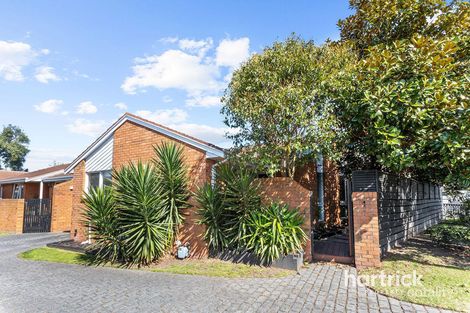 Property photo of 1/8 Baringhup Street Cheltenham VIC 3192