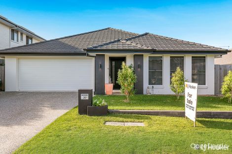 Property photo of 20 Davenport Street Thornlands QLD 4164