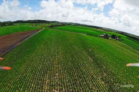 3 Harvisons Rd, Erakala, QLD 4740