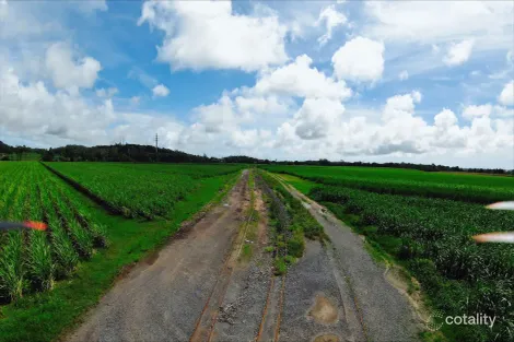 Property photo of 3 Harvisons Road Erakala QLD 4740