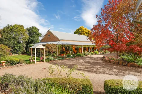 Property photo of 143 Tullamore Road Loomberah NSW 2340
