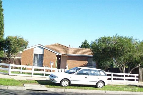 19 Preston Ave, Endeavour Hills, VIC 3802