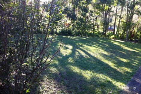 Property photo of 1391 Eumundi Noosa Road Eumundi QLD 4562