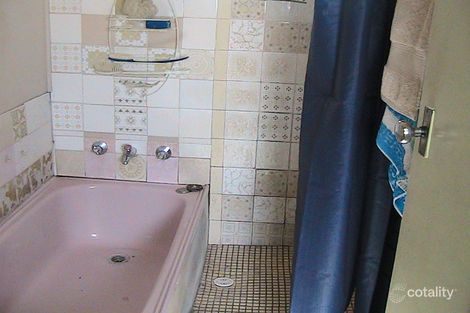 Property photo of 24 Seventh Avenue Berala NSW 2141