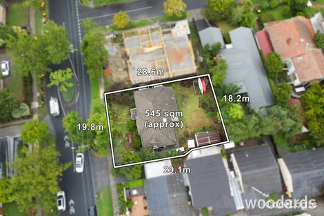 Property photo of 6 Albion Road Box Hill VIC 3128