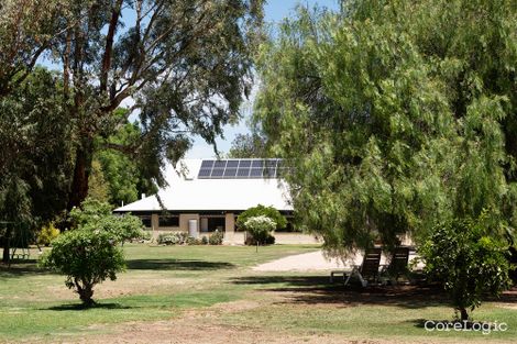 Property photo of 31 Twentyseventh Street Renmark SA 5341