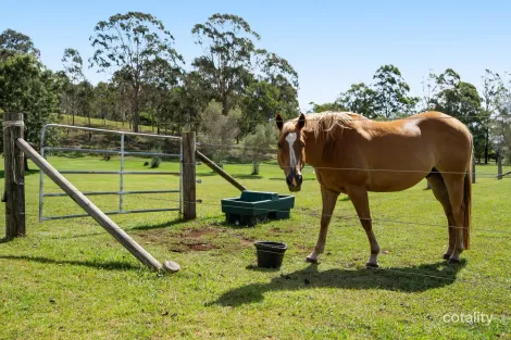 Property photo of 205 Hampton Road Hampton QLD 4352
