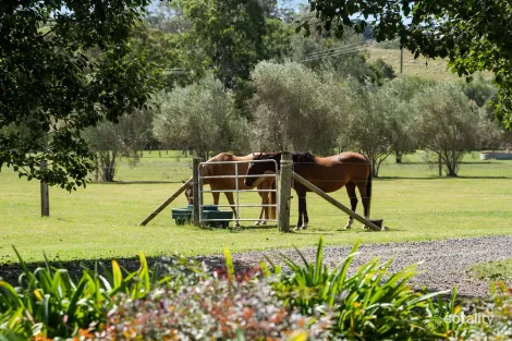 Property photo of 205 Hampton Road Hampton QLD 4352
