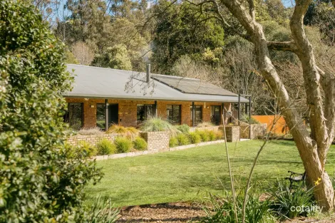 66 Winifred Ave, Acacia Hills, TAS 7306