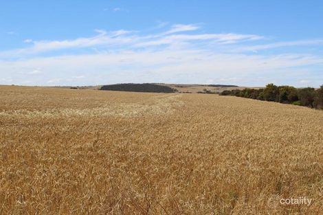 222 Morris Rd, Lipson, SA 5607