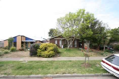 19 Springhurst Cres, Grovedale, VIC 3216