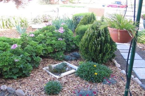 Property photo of 15 Blackham Crescent Smithfield Plains SA 5114