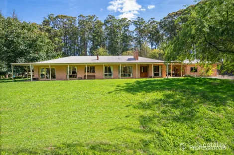 620 Thonemans Rd, Hoddles Creek, VIC 3139