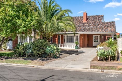 41 Myer Ave, Plympton, SA 5038