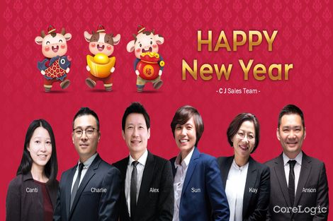 12 Henricks Ave, Newington, NSW 2127